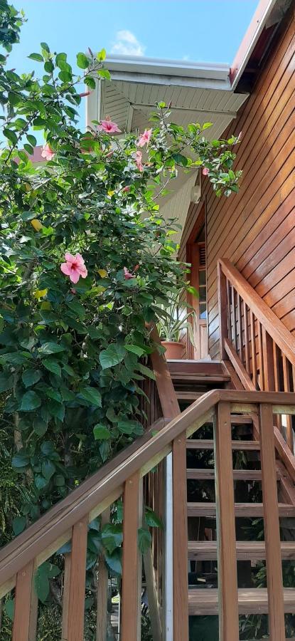 Bungalow Mangifera Proche De La Plage Le Diamant Dış mekan fotoğraf